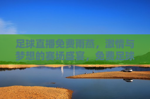 足球直播免费雨燕， *** 与梦想的赛场盛宴，免费足球直播雨燕， *** 与梦想的碰撞，免费足球直播雨燕， *** 与梦想的赛场盛宴