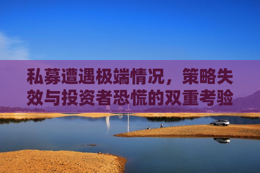私募遭遇极端情况，策略失效与投资者恐慌的双重考验，私募遭遇困境，策略失灵与投资者恐慌的双重挑战，私募遭遇策略失灵与投资者恐慌的双重挑战