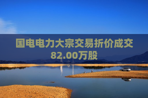 国电电力大宗交易折价成交82.00万股