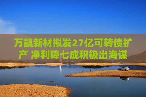 万凯新材拟发27亿可转债扩产 净利降七成积极出海谋破局