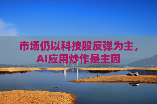 市场仍以科技股反弹为主，AI应用炒作是主因