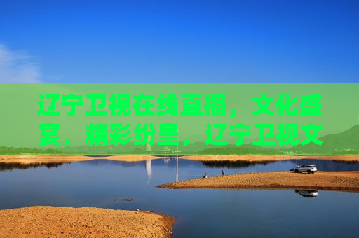 辽宁卫视在线直播，文化盛宴，精彩纷呈，辽宁卫视文化盛宴，精彩纷呈的在线直播，辽宁卫视文化盛宴，精彩纷呈的在线直播盛宴