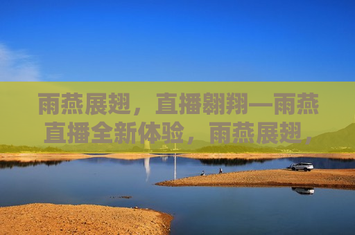 雨燕展翅，直播翱翔—雨燕直播全新体验，雨燕展翅，直播翱翔，探索雨燕直播的全新体验，雨燕展翅，直播翱翔，探索雨燕直播的全新境界