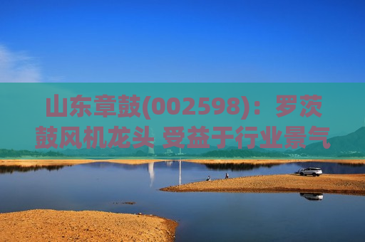 山东章鼓(002598)：罗茨鼓风机龙头 受益于行业景气度提升