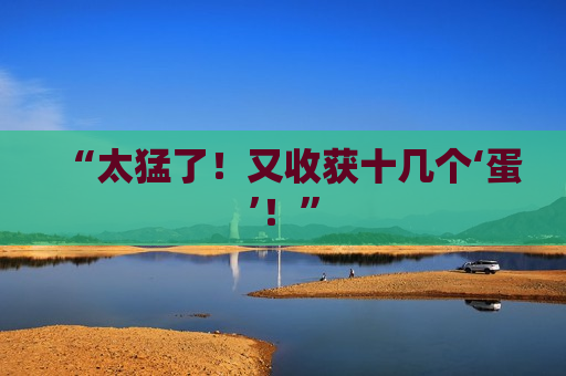 “太猛了！又收获十几个‘蛋’！”