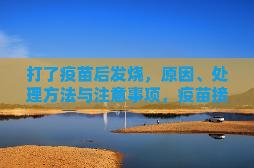 打了疫苗后发烧，原因、处理 *** 与注意事项，疫苗接种后发烧，原因、处理 *** 及注意事项，疫苗接种后发烧解析，原因、处理 *** 与注意事项