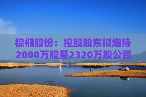 棕榈股份：控股股东拟增持2000万股至2320万股公司股份