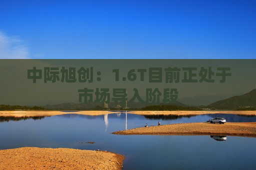 中际旭创：1.6T目前正处于市场导入阶段