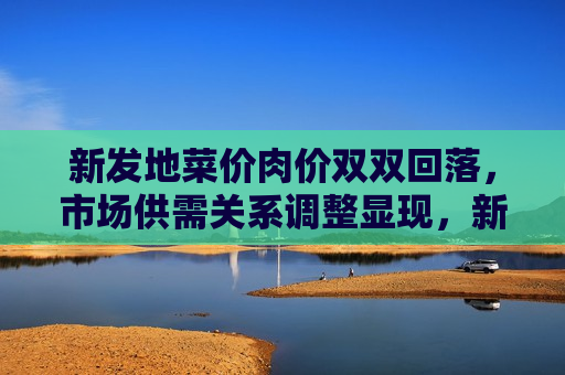 新发地菜价肉价双双回落，市场供需关系调整显现，新发地菜价肉价回落，市场供需关系调整显现成效，新发地菜价肉价回落，市场供需关系调整显现成效
