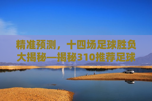 精准预测，十四场足球胜负大揭秘—揭秘310推荐足球十四场胜负背后的故事，揭秘足球胜负大揭秘，精准预测十四场足球赛事背后的故事，揭秘足球胜负大揭秘，精准预测十四场足球赛事背后的故事
