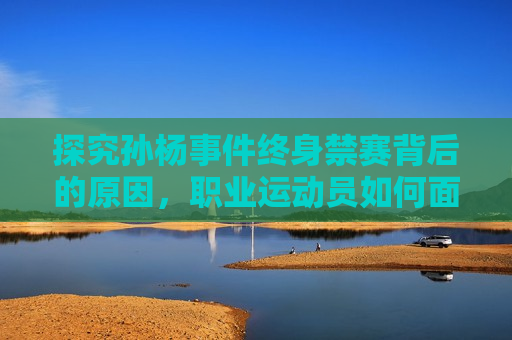 探究孙杨事件终身禁赛背后的原因，职业运动员如何面对挑战与困境，孙杨终身禁赛背后原因，职业运动员如何应对挑战与困境，孙杨终身禁赛背后，职业运动员如何应对挑战与困境