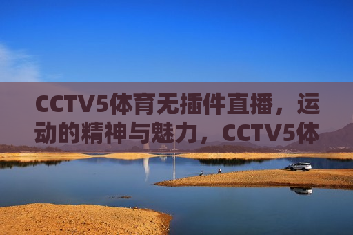 CCTV5体育无插件直播，运动的精神与魅力，CCTV5体育无插件直播，运动精神的魅力展现，CCTV5体育无插件直播，运动精神魅力的展现