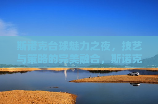 斯诺克台球魅力之夜，技艺与策略的完美融合，斯诺克台球魅力之夜，技艺与智慧的较量，斯诺克台球之夜，技艺与智慧的较量