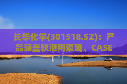 长华化学(301518.SZ)：产品涵盖软泡用聚醚、CASE用聚醚及特种聚醚