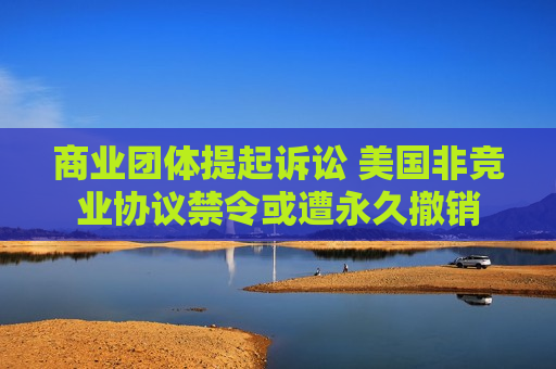 商业团体提起诉讼 美国非竞业协议禁令或遭永久撤销