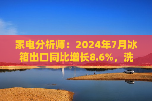 家电分析师：2024年7月冰箱出口同比增长8.6%，洗衣机增速相对较低