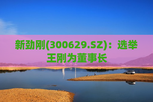 新劲刚(300629.SZ)：选举王刚为董事长