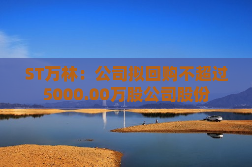 ST万林：公司拟回购不超过5000.00万股公司股份