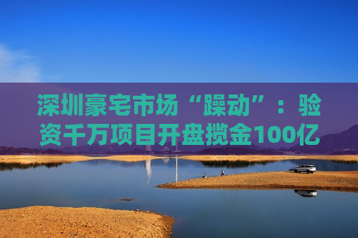 深圳豪宅市场“躁动”：验资千万项目开盘揽金100亿
