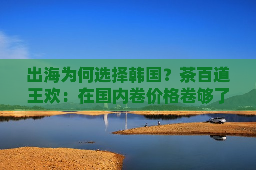 出海为何选择韩国？茶百道王欢：在国内卷价格卷够了，在国外要卷品质  第1张