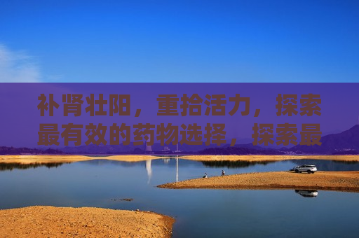 补肾壮阳，重拾活力，探索最有效的药物选择，探索最有效的补肾壮阳药物，重拾活力，探索最有效的补肾壮阳药物，重拾活力与自信
