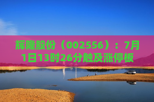 辉隆股份（002556）：7月1日13时26分触及涨停板  第1张