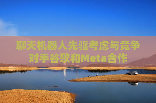 聊天机器人先驱考虑与竞争对手谷歌和Meta合作