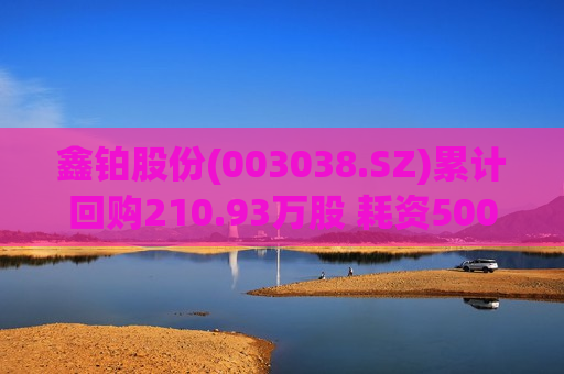 鑫铂股份(003038.SZ)累计回购210.93万股 耗资5009.71万元