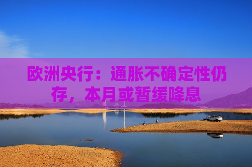 欧洲央行：通胀不确定性仍存，本月或暂缓降息