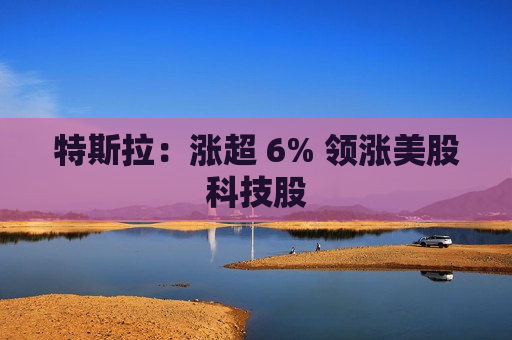 特斯拉：涨超 6% 领涨美股科技股