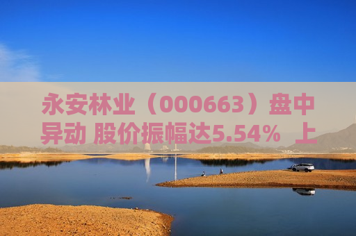 永安林业（000663）盘中异动 股价振幅达5.54%  上涨6.93%（07-02） 第1张