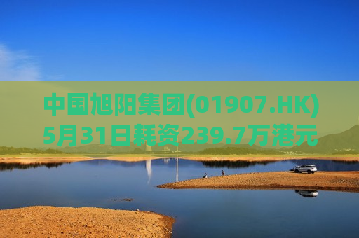 中国旭阳集团(01907.HK)5月31日耗资239.7万港元回购80万股