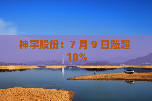 神宇股份：7 月 9 日涨超 10%