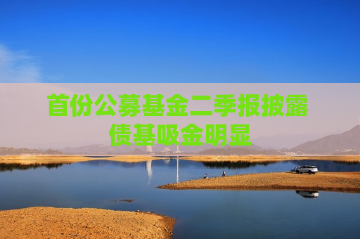首份公募基金二季报披露 债基吸金明显