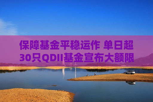 保障基金平稳运作 单日超30只QDII基金宣布大额限购
