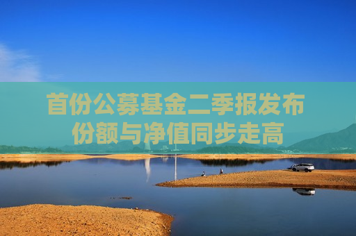 首份公募基金二季报发布 份额与净值同步走高