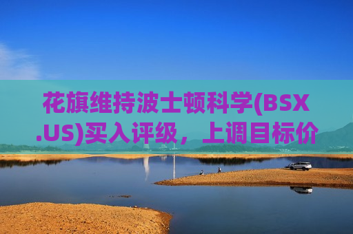 花旗维持波士顿科学(BSX.US)买入评级，上调目标价至90美元  第1张