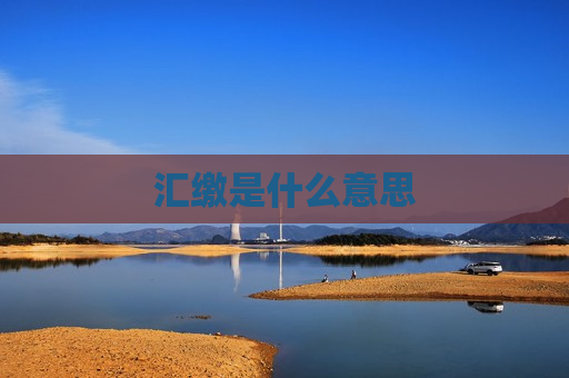汇缴是什么意思