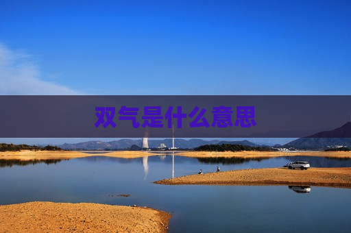双气是什么意思