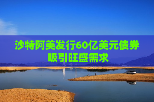 沙特阿美发行60亿美元债券 吸引旺盛需求