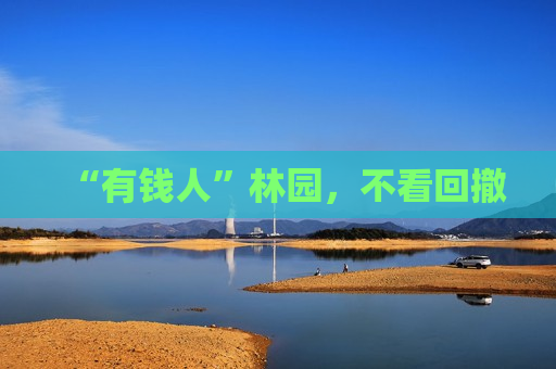 “有钱人”林园，不看回撤