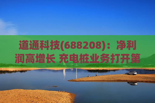道通科技(688208)：净利润高增长 充电桩业务打开第二增长曲线  第1张
