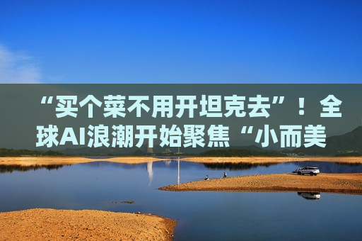 “买个菜不用开坦克去”！全球AI浪潮开始聚焦“小而美”