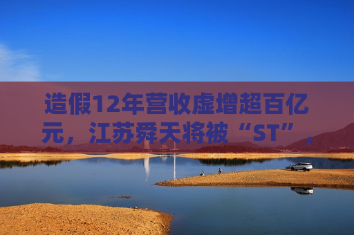 造假12年营收虚增超百亿元，江苏舜天将被“ST”，曾自辩是受害者