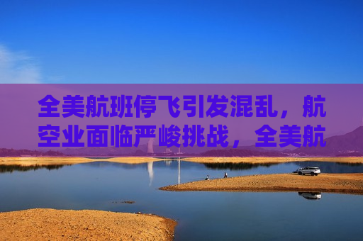 全美航班停飞引发混乱，航空业面临严峻挑战，全美航班停飞引发混乱，航空业遭遇空前危机，全美航班停飞引发混乱，航空业遭遇空前危机
