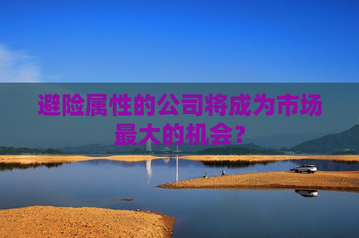 避险属性的公司将成为市场更大的机会？