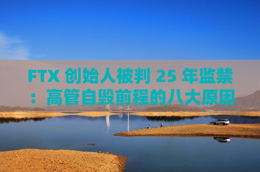 FTX 创始人被判 25 年监禁：高管自毁前程的八大原因