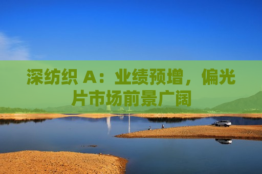 深纺织 A：业绩预增，偏光片市场前景广阔  第1张