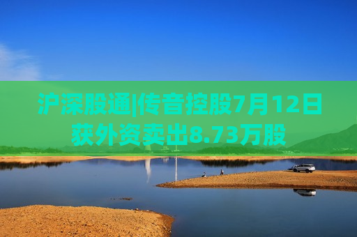 沪深股通|传音控股7月12日获外资卖出8.73万股