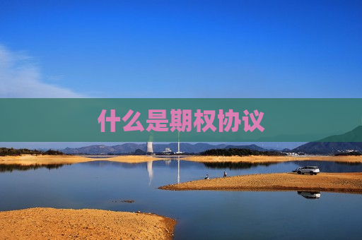 什么是期权协议